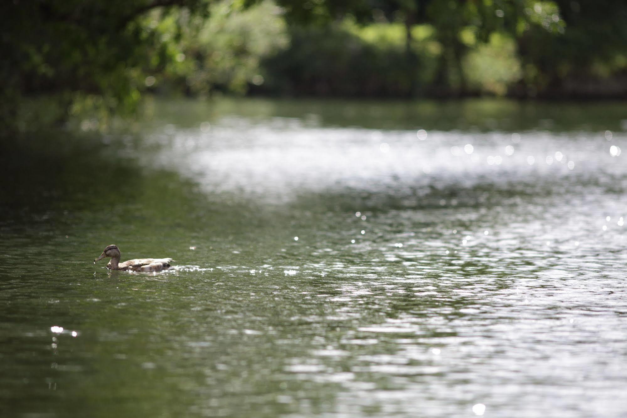 Hotel The Runnymede On Thames (Adults Only) Egham Exteriér fotografie